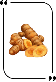 Rhizoma turmeric extract