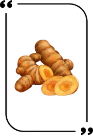 Rhizoma turmeric extract