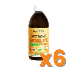 Mobilité pack of 6 big bottle