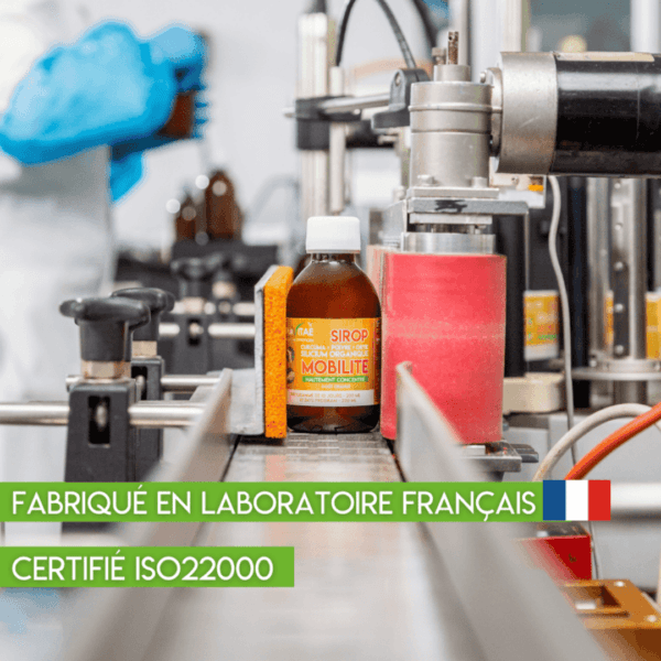 mobilité a production iso 22000 in france